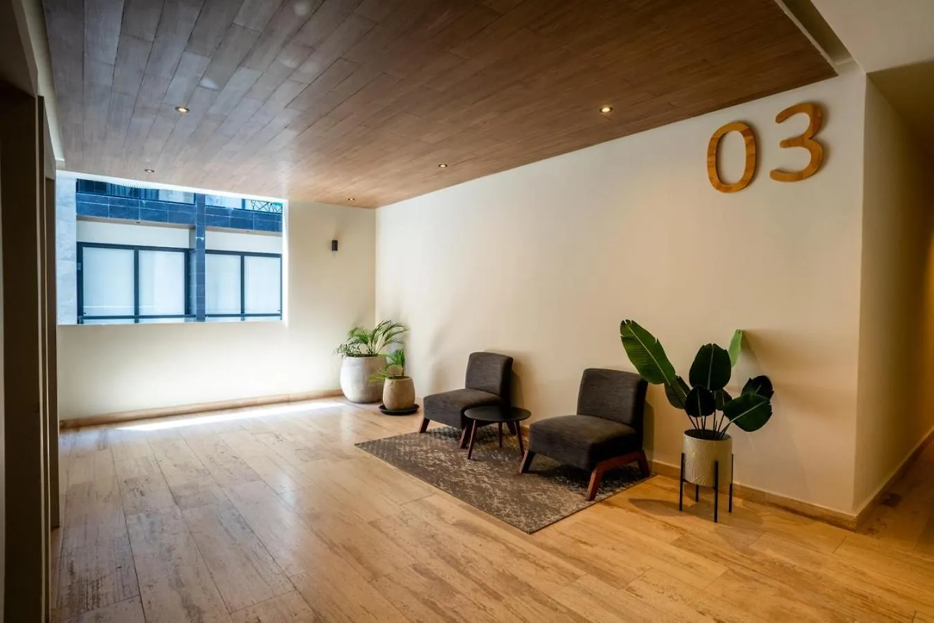 Apartment Cozy & Central Apt W/ Rooftop Infinity Pool & Gym Playa del Carmen Mexico