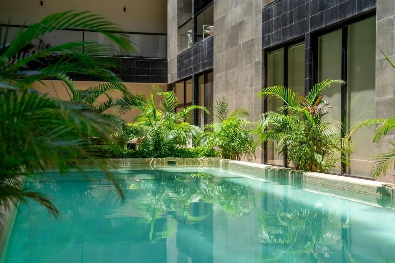 Cozy & Central Apt W/ Rooftop Infinity Pool & Gym Playa del Carmen