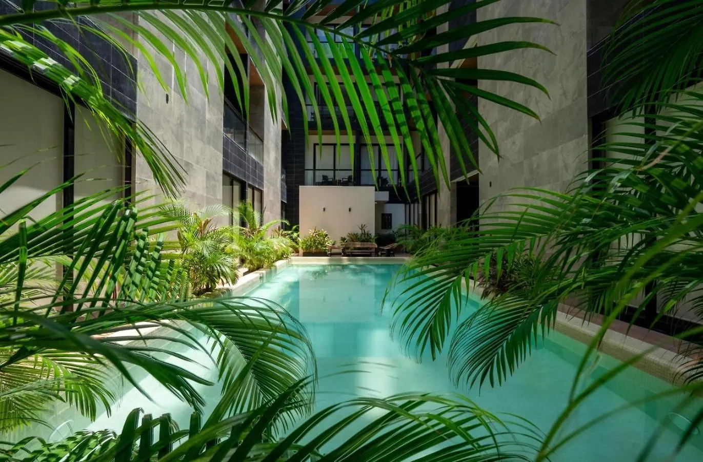 Apartment Cozy & Central Apt W/ Rooftop Infinity Pool & Gym Playa del Carmen